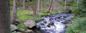 Šumava - Národní park a CHKO