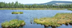 Šumava - Chalupská slať 