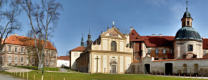 Plasy město