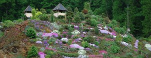 Arboretum Makču Pikču