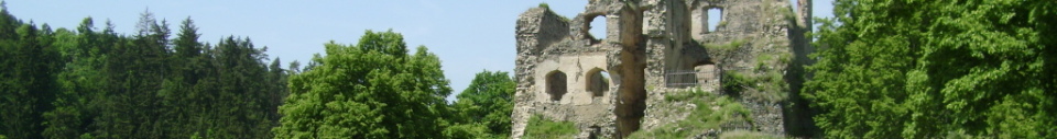 Dívčí Kámen - hrad