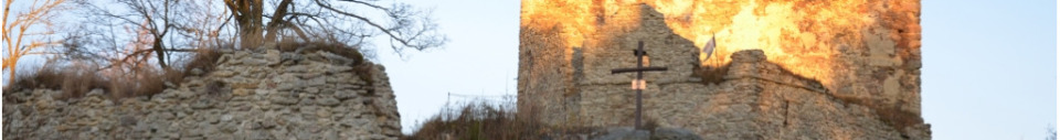 Vítkův Hrádek - hrad