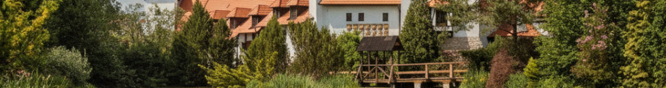 Červený Újezd - hrad