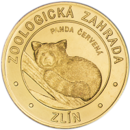 ZOO Zlín - panda červená